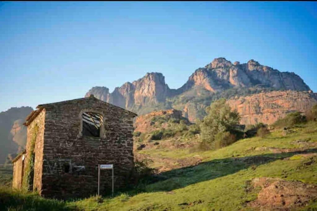 Villa Alisa Avec Piscine Privee Roquebrune-sur-Argens Exterior photo